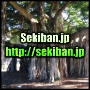 Sekiban.jp